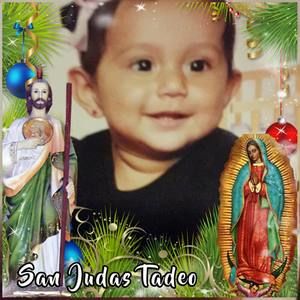 Meet your Posher, Evelyn